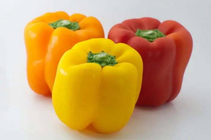 How to Grow Vegetables Year Round in a Greenhouse 20 Set Peppers
