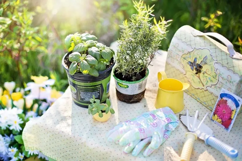 19 Best Wooden Greenhouses: Top Kits to Buy 27 Planting Tools