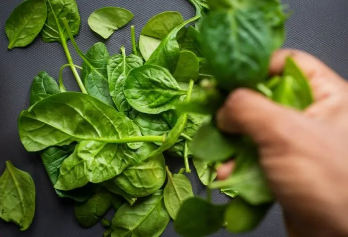 How to Grow Vegetables Year Round in a Greenhouse 15 Spinach Leaves