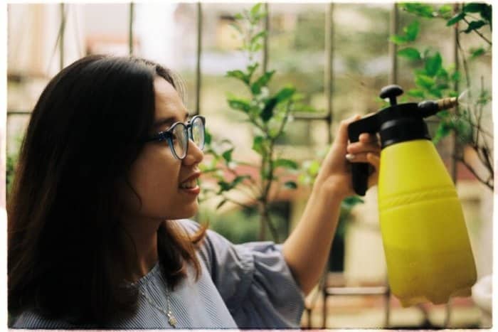 Woman Spraying on Plants