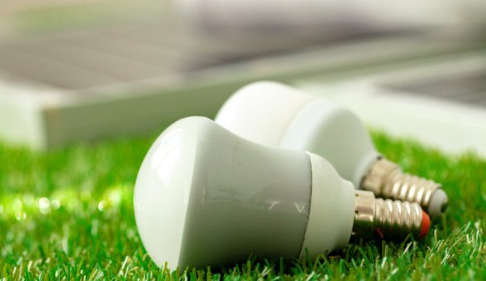 Energy Efficient Light Bulb Laying on Grass