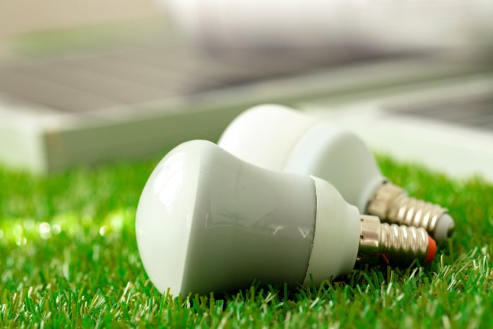 Energy Efficient Light Bulb Laying on Grass
