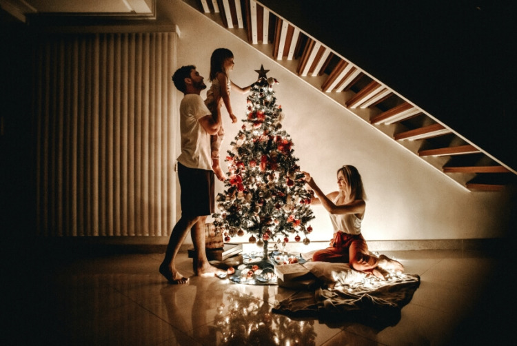 10 Sustainable Christmas Trees for the Holiday Season