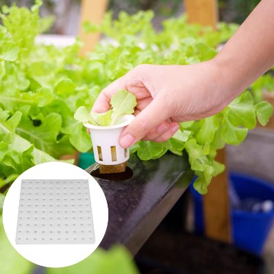 Eshylala 400 PCS Hydroponic Sponge Planting Tool Product Sample