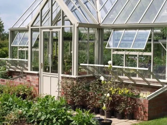 How to Grow Vegetables Year Round in a Greenhouse 1 Glass Greenhouse