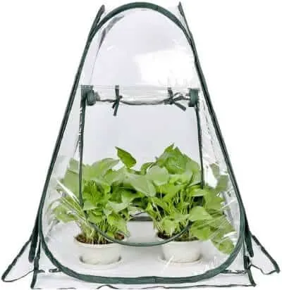 13 Best Portable Greenhouses to Buy Today 12 Mini Pop Up Greenhouse