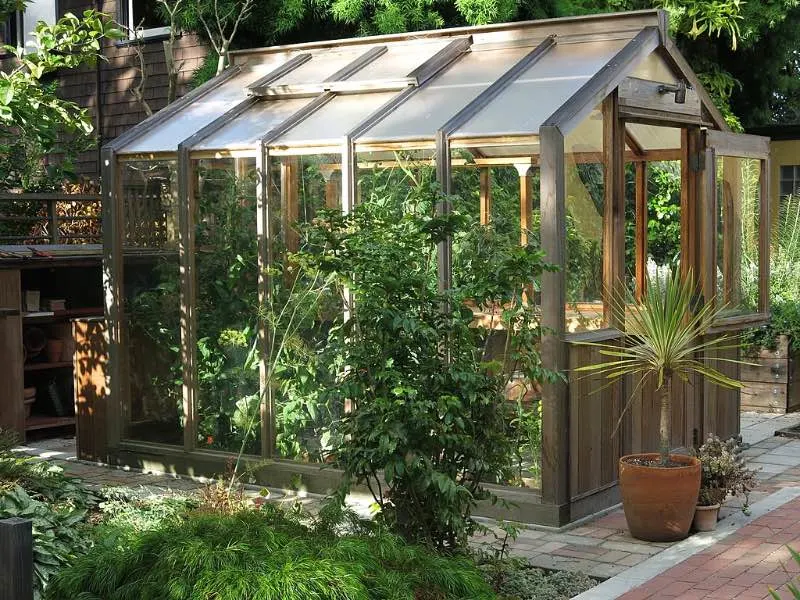 8 Best Backyard Greenhouse Ideas 3 Greenhouse built out of Cedar wood outdoors