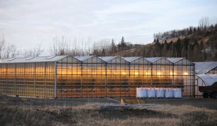 Huge Greenhouse by the Mountains with Lit Lights