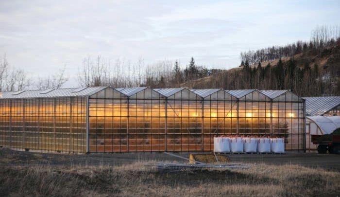 Huge Greenhouse by the Mountains with Lit Lights