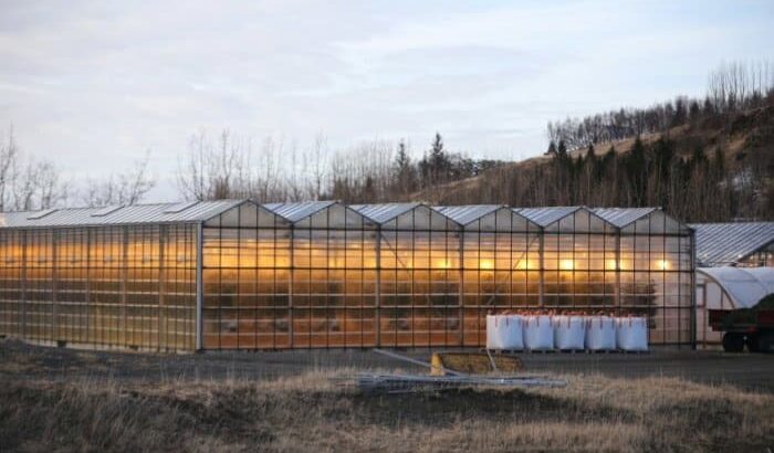 How to Winterize a Greenhouse [Step-by-Step Guide]