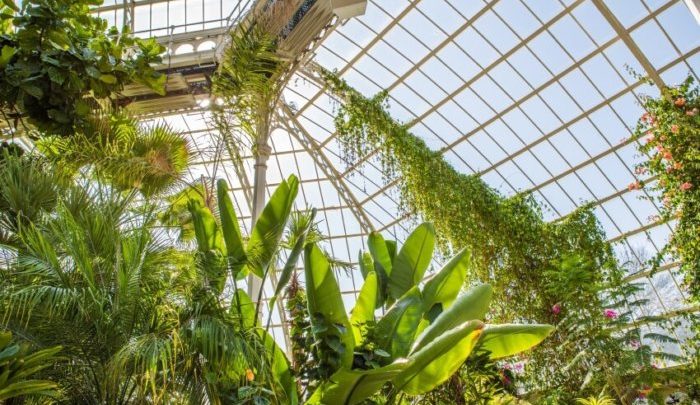 Plants Inside a Glass Greenhouse