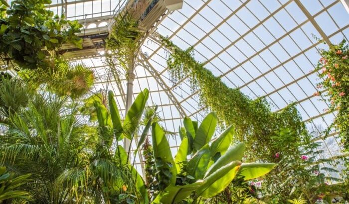 26 Best Greenhouse Windows: Ideas & Units to Use 9 26 Best Greenhouse Windows: Ideas & Units to Use