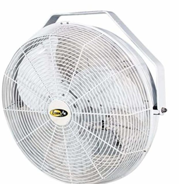 10 Best Greenhouse Fans to Buy Today