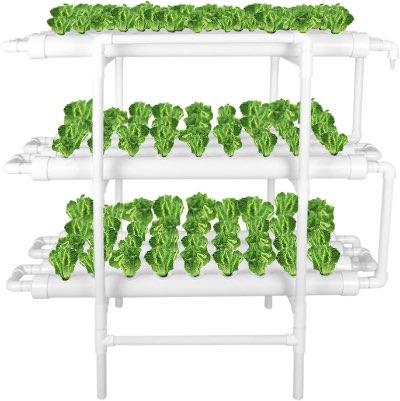 LAPOND Hydroponic Grow Kit