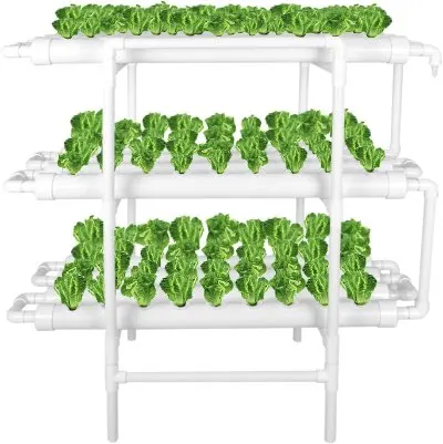 LAPOND Hydroponic Grow Kit