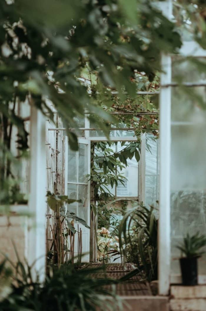 6 Best Greenhouse Ideas for 2023: Backyard, Garden & More 5 Lean- To Greenhouse