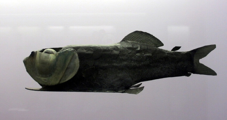 Model of a Barreleye Fish