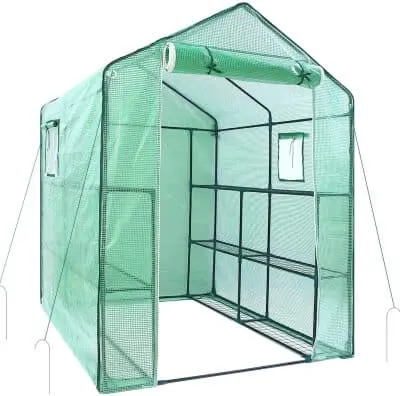 Empty Mini Walk-in Greenhouse