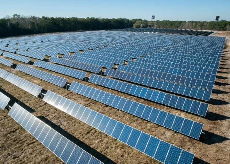 How Much Does the United States Depend on Fossil Fuels? 5 Rows of Solar Panels in a Field