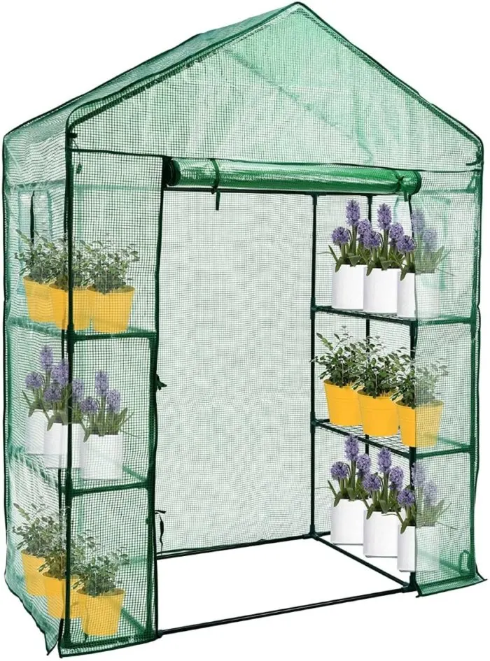 Small Walk-in Greenhouse