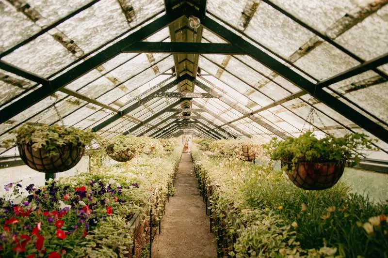 Symmetrical View of a Glass Greenhouse Interior