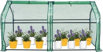 Mini Greenhouse with Plansts