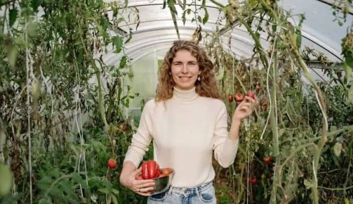 Woman Harvesting in a Greenhouse