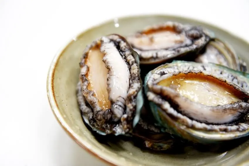 Abalones on a Plate