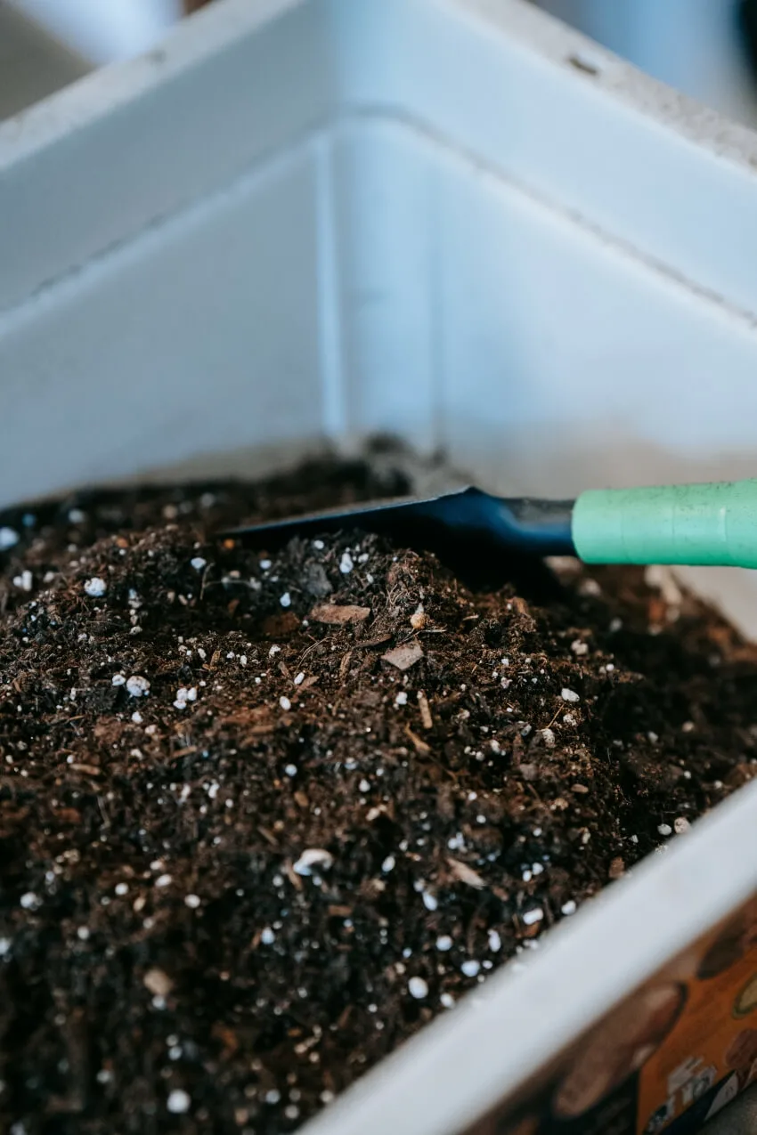 Gardening Shovel in a Composting Bin