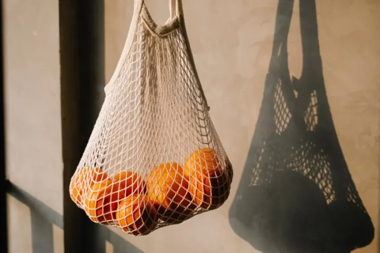 25 Ways to Conserve Natural Resources 20 Oranges Inside a Net Eco-Friendly Bag