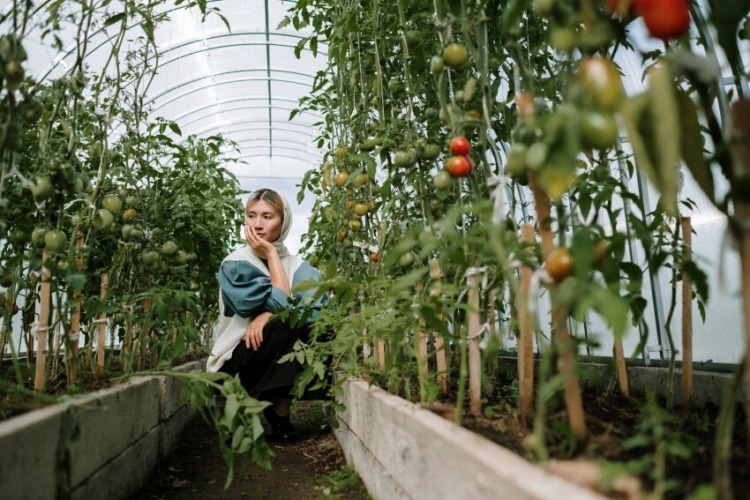 Woman Checking the Tomatoes