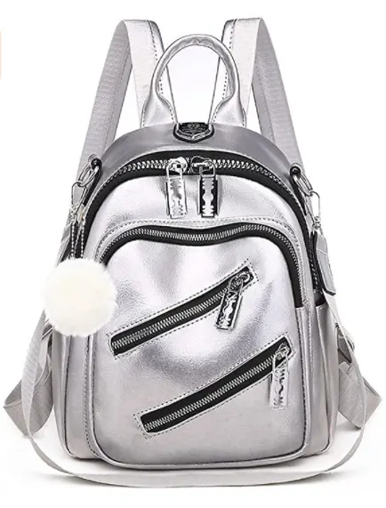 25 Best Vegan Backpacks to Buy in 2023 4 Silver Vegan Bag