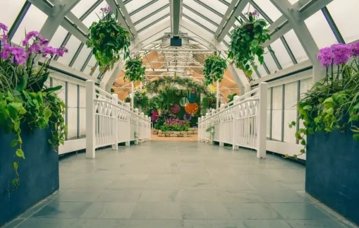 Greenhouse with Metal Interior Design