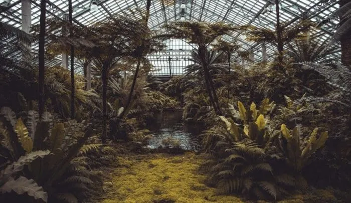 Greenhouse with Metal Design and Structure