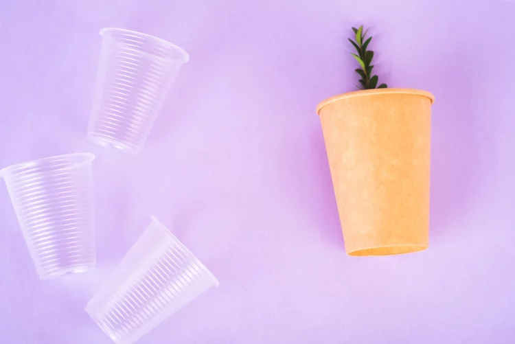 Are Orbeez Biodegradable? 25 Things to Know 5 Plastic and paper cup with plat inside