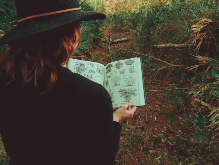 A botanist referencing her book for different plant species.