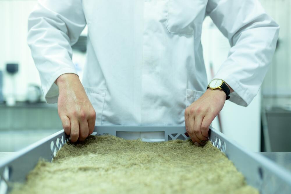 an environmental engineer sorting samples