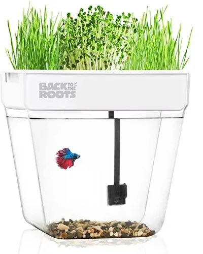 13 Best Aquaponics in a Greenhouse 7 Back to the Roots Water Garden