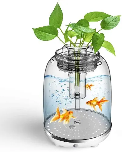 13 Best Aquaponics in a Greenhouse 8 Fish Tank Aquarium Starter Kits