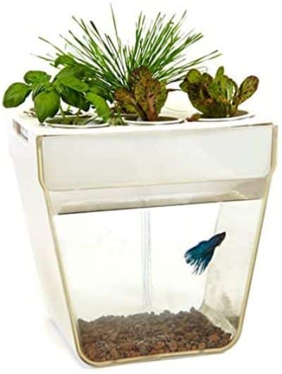 Gardeners Edge AquaFarm Tank