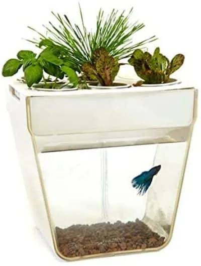 13 Best Aquaponics in a Greenhouse 3 Gardeners Edge AquaFarm Tank