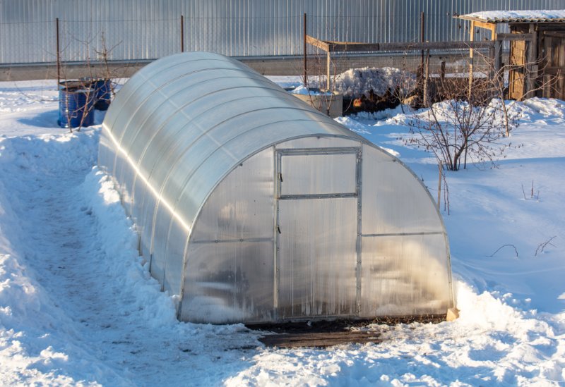 Greenhouse in the snow