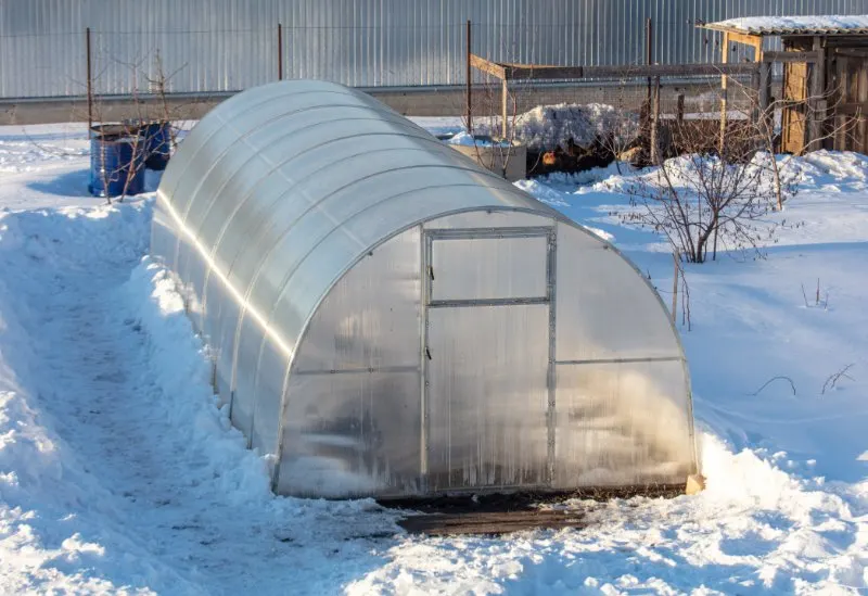 9 Best Greenhouses for Cold Climates 10 Greenhouse in the snow