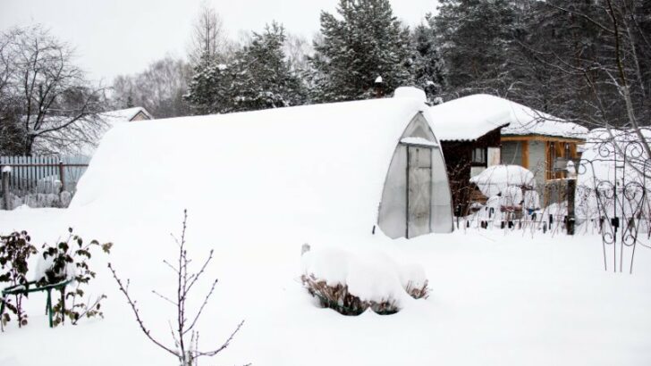 Small greenhouse for winter