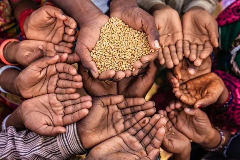 Are Fish Endangered? What You Need to Know 6 Indian hand