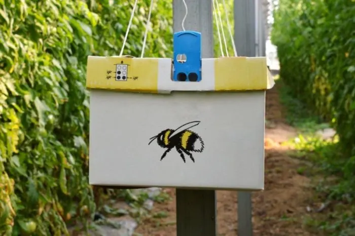 How to Utilize Greenhouse Bees for Pollination 1 Cardboard beehive