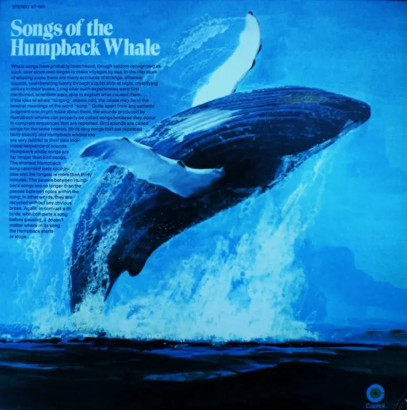 Humpback Whale Music Chart