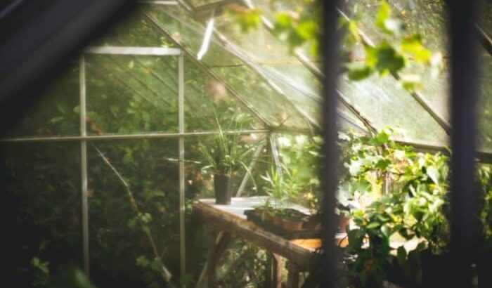 7 Best Insulation Options for a Greenhouse in Winter