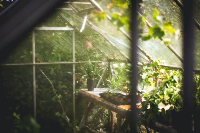 Insulation greenhouse