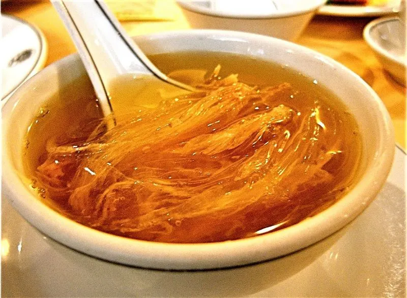 Shark Finning: A History Of Shark Abuse 1 fin soup
